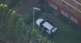 A Victorian man has been charged, accused of acting erratically at the Russian Consulate in Sydney's east before ploughing a car through the gates.