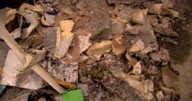 Man charged with felony arson after fire at Punta Gorda synagogue