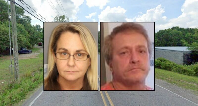 Man 'checking his mail' mowed down by woman texting in F-150