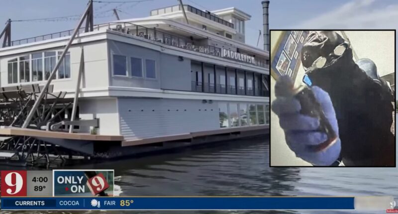 Man in scuba gear robs Disney Springs restaurant: Cops