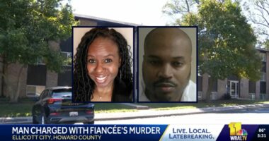 Man stabs fiancee to death a week after engagement: Cops