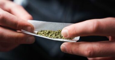 The higher potency of marijuana today is a growing concern when it comes to potential health harms, experts say.