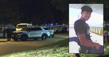 Marine vet was fatally shot before car was stolen: Police