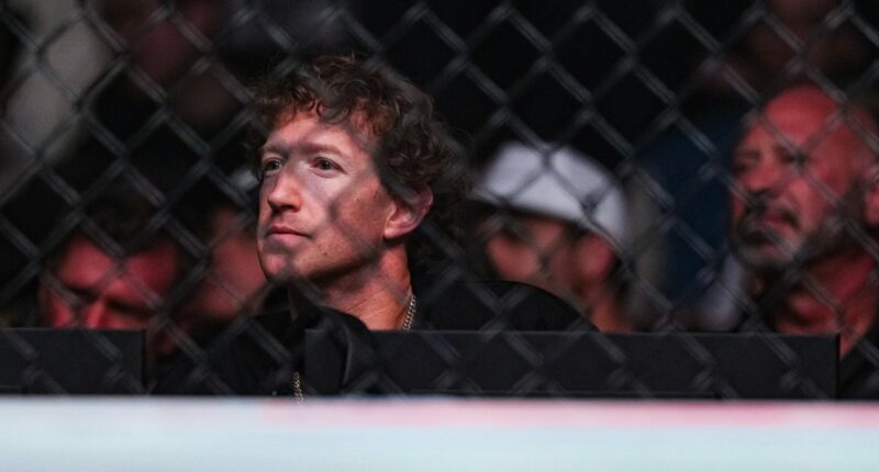 Mark Zuckerberg Insisted I Attend MMA Training: Ex-Meta Exec