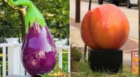 Maryland town erupts over 'suggestive' peach and eggplant statues