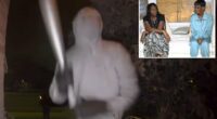 Masked Chicago goons attack dying elderly woman's house with BOMB