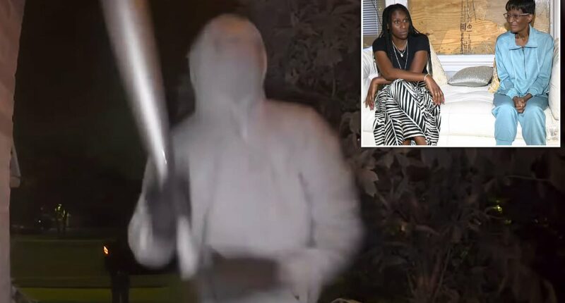 Masked Chicago goons attack dying elderly woman's house with BOMB