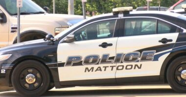 Mattoon teenager accused of stabbing mother's boyfriend during argument