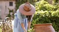 Meanwhile in Montecito... Meghan Markle posts about her 'magical garden' in As Ever promo while King Charles, Kate and William put on an impressive show to woo the Trumps