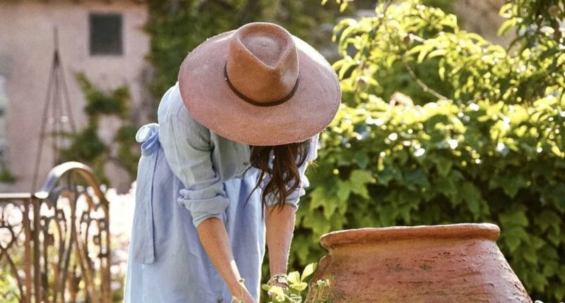 Meanwhile in Montecito... Meghan Markle posts about her 'magical garden' in As Ever promo while King Charles, Kate and William put on an impressive show to woo the Trumps