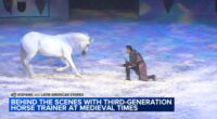 Medieval Times horse trainer Mario Contreras embraces roots of Guadalajara, Mexico in Schaumburg, Illinois