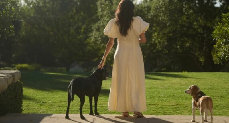 Meghan Markle brushes off rumours of ex-friend Jessica Mulroney's 'tell-all book' as she shares snap of her 'sweetest moments'