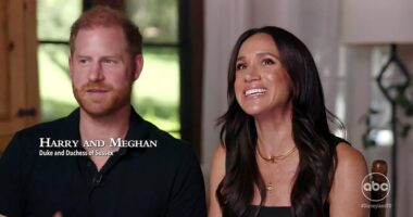 Meghan Markle leaves royal fans baffled after revealing that Archie, six, asked her 'when his birthday is' during Disneyland trip