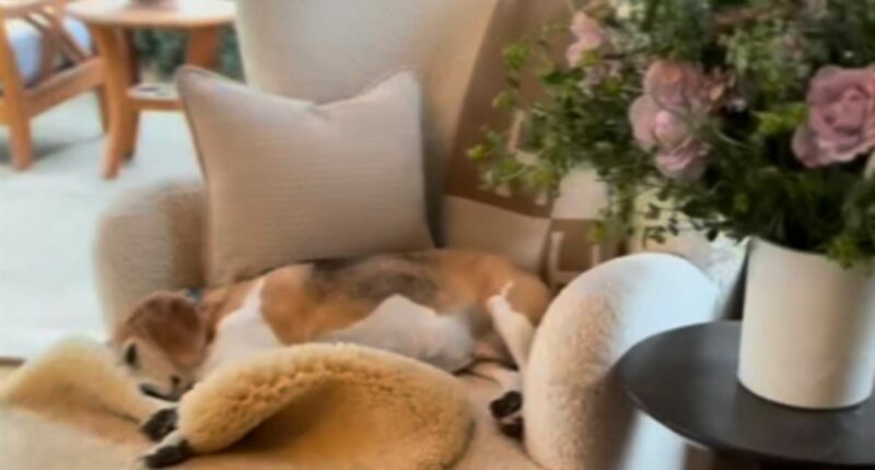 Meghan Markle shares a rare glimpse inside her $14million mansion's living room - complete with royal nod, $2,000 Hermès throw and a 'hint at new product'