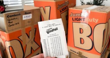 Image of lottery ticket with moving boxes.