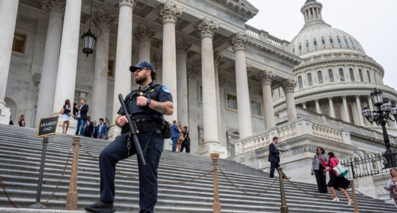 Members of Congress take steps to tighten their own security after Kirk's killing