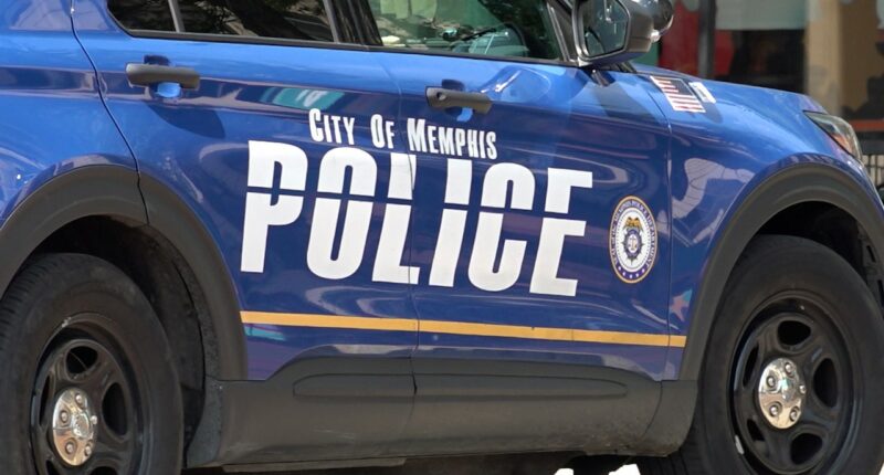 Memphis residents split over National Guard deployment to fight city's crime