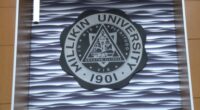 Millikin University welcomes largest freshman class in 5 years