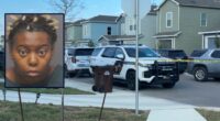 Mom arrested after 2 kids found dead in hot car: Sheriff