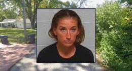 Mom in custody battle lied about ex killing their kids: Cops
