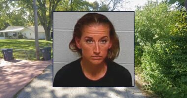 Mom in custody battle lied about ex killing their kids: Cops
