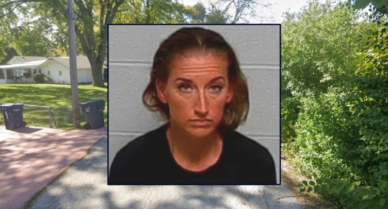 Mom in custody battle lied about ex killing their kids: Cops
