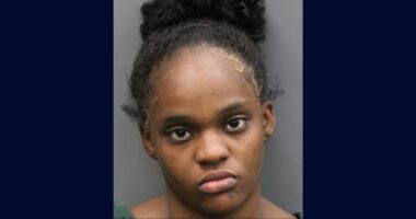 Mom livestreams before trying to kill herself and 3 kids: DA