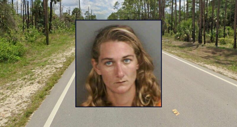 Mom needed 'alone time,' left baby to drown in bathtub