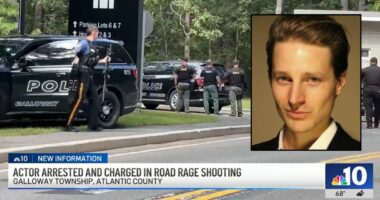 Mom of 3 blinded after being shot during road rage incident