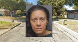 Mom repeatedly stabbed 9-year-old in neck, chest: Police