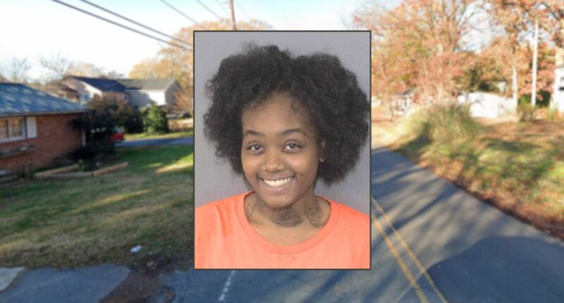 Mom smiles after 3-year-old wanders the street alone: Cops