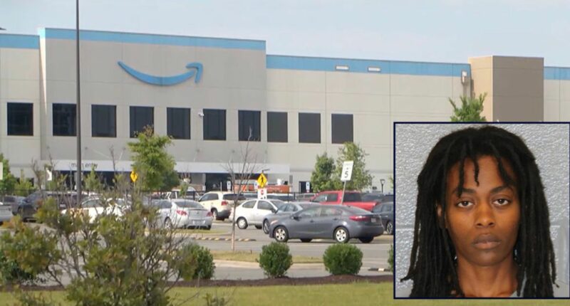 Mom who left kid in hot car to work Amazon job is sentenced