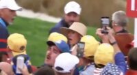 Moment Rory McIlroy's wife Erica is hit by a drink at Ryder Cup
