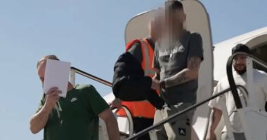 Moment foreign criminals are finally flown out of UK