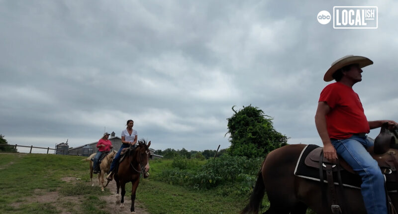 Montauk Cowboys: The oldest ranch in America is far from the Old West