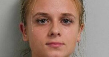 Montessori nursery worker is jailed for attacking toddlers in her care