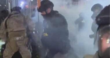 More clashes at ICE detention center near Chicago
