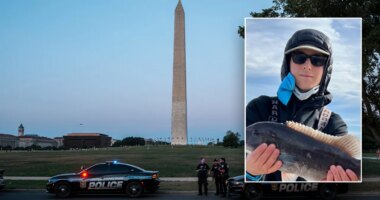 Mugshots of Capitol Hill intern murder suspects revealed as manhunt continues for third suspect