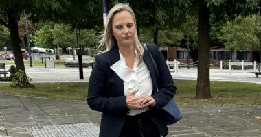 Mum drove from party while so drunk she could only shuffle on knees
