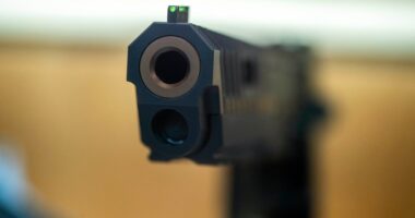 NRA opposes possible DOJ gun ownership ban for transgender people