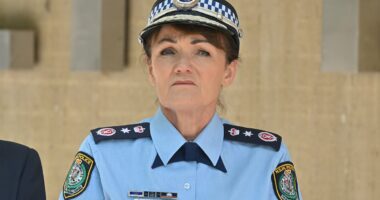 NSW Police name Karen Webb's replacement after four months of mystery
