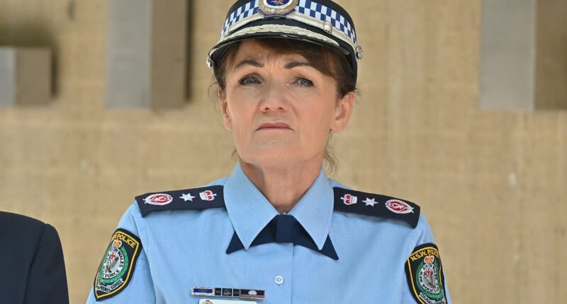 NSW Police name Karen Webb's replacement after four months of mystery