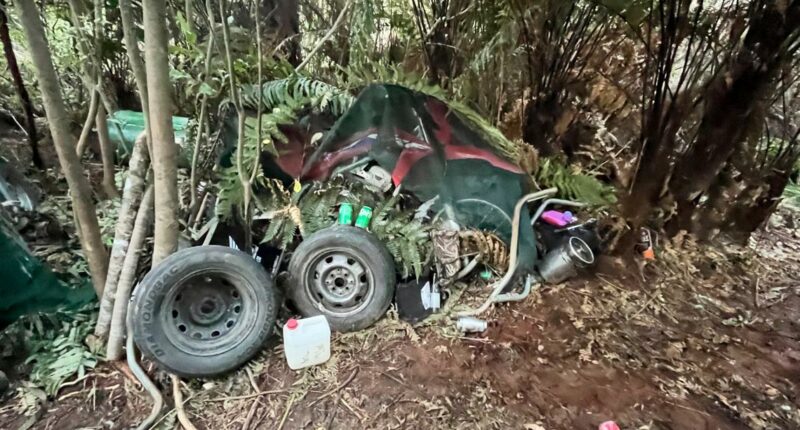 NZ fugitive Tom Phillips shot, children rescued from forest