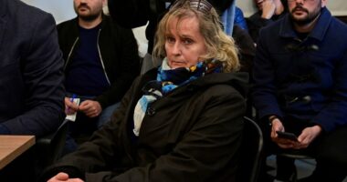 Nazi daughter dragged before court over stolen painting