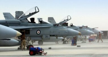 Near miss between civilian aircraft and RAAF warplanes