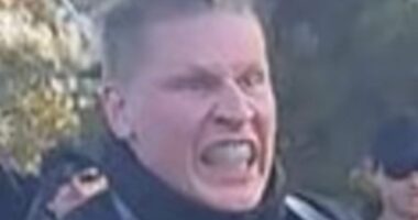 Neo-Nazi leader Thomas Sewell's henchman exposed as a cop's son
