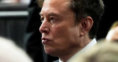 New Epstein files mention Elon Musk, Peter Thiel, top Trump aide Steve Bannon