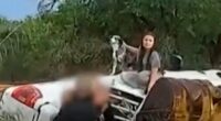 New Mexico police rescue family from flash flood