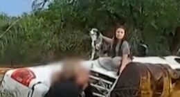 New Mexico police rescue family from flash flood