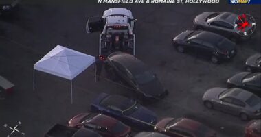New details emerge after decomposing female body found in Tesla linked to singer D4vd